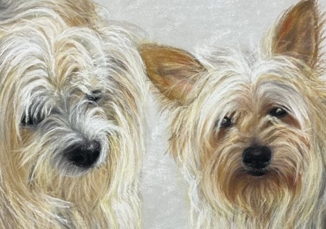 Free HTML5 Website Template by FreeHTML5.co